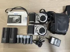 2026年最新】finepix 2900zの人気アイテム - メルカリ