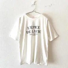 ✨未使用✨タグ付☆【ドレスキップ】プリントTシャツ 綿混 サイドスリット Mのサムネイル