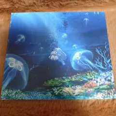 1-3234 Aimer 花の唄 / I beg you / 春はゆく CD