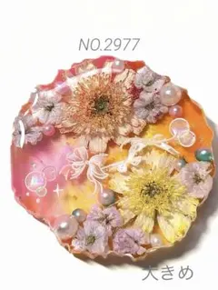 NO.2977遊悠の花˚✧₊⁎⁺˳✧༚ドライフラワー　レジンヘアゴム　ブローチ NO.2977遊悠の花˚✧₊⁎⁺˳✧༚ドライフラワー レジンヘアゴム ブローチ