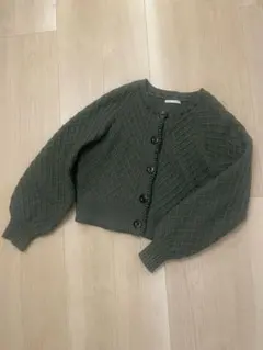 Item thumbnail for item 8cef3c29-74df-4bc3-82c4-e3ccb3ad3271