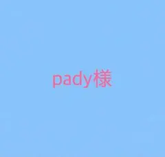 pady様専用✩.*˚ゴルフボールケース ミニティーホルダー付き✩.*˚