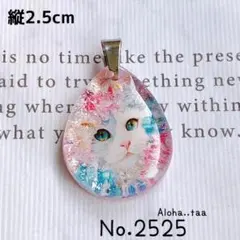 ⭐️ワンコイン⭐️No.2525 レジン ペンダントトップ 猫 ねこ ネコ ♡