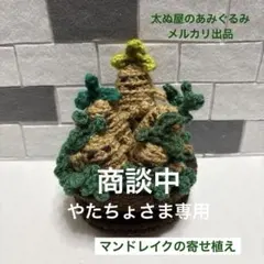 やたちょ様 リクエスト 2点 まとめ商品