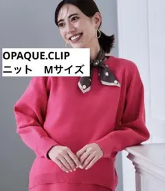 OPAQUE長袖ニットトップスM