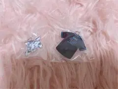 &TEAM Yuma ユウマ めじるしチャーム 2点