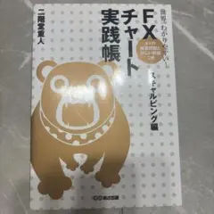 FXチャート実践帳 スペシャルピング編