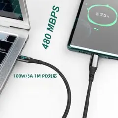 USB Type C ケーブル 100W/5A 2M PD対応 出力表示