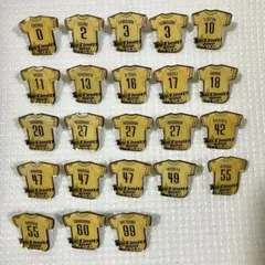 2026年最新】ライオンズ ピンバッチの人気アイテム - メルカリ