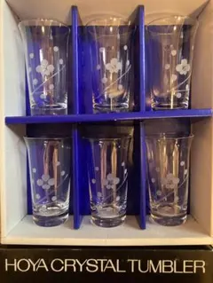 HOYA クリスタルタンブラー 6個セット