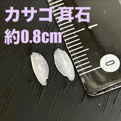 かさご 耳石標本 魚の耳石