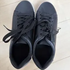 Item thumbnail for item 3f8dfc12-9947-4795-8610-e83ab87ea925