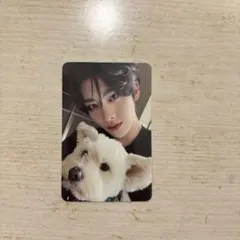 zb1 never say never デジパトレカ リッキー トレカ レオ