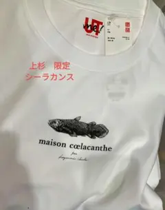 ユニクロ　UNIQLO　シーラカンス　仙台限定　ホワイトTシャツ