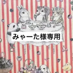 みゃーた様専用　ふんわりフラットポーチ　ユキエモン　ハンドメイド