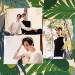 2025年最新】縣千の人気アイテム - メルカリ