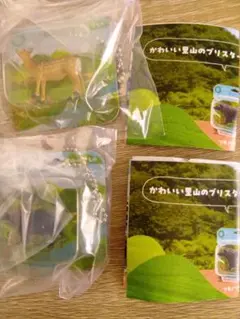 ネイチャーテクニカラー　里山のいきものブリスターコレクション　シカ タヌキ