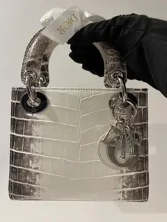 原価60万極上品 ◆ヒマラヤ クロコダイル　オーダーメイド　ハンドバッグ 楽天市場】ヒマラヤ クロコダイル バッグ 日本製 2WAY