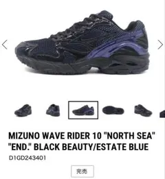 MIZUNO WAVE RIDER10 END. 26.5 美品
