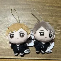 ハイキュー!! ぬいぷりけmini4 2つセット