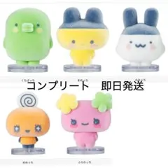 たまごっち カプセルフロッキーズ コンプリート 5種セット コンプリート