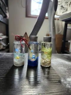 ハーバリウム花材まとめ売り、夏、マリンシリーズ、シール有、おまけ