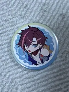 CR CrazyRaccoon きなこ kinako CRフェス 缶バッジ 等身 CRAZY RACCOON kinako CRフェス2024 缶バッジ - メルカリ