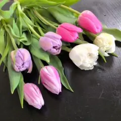 ふ〜じさん様専用♪