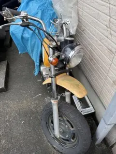 カール様専用 エイプ用ミニトリック管 - メルカリ