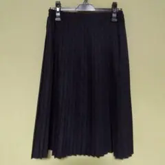 【earth music&ecology】プリーツスカート　F