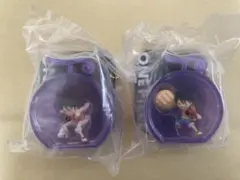 ワンピの実ミクロ』ブリスターチャーム2種類セット