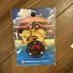 ポケモンセンター カナザワ ロゴピンズ ミロカロス 金沢 ピカチュウ
