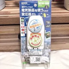 変圧器　海外　旅行