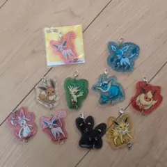 【１０点セット】Pokemon アクリルキーホルダーセット