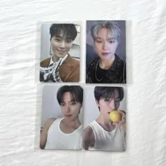 ディノ DINO まとめ売り トレカ 限定あり