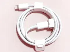 Item thumbnail for item d4300183-5030-4932-8397-93c14c4699cc