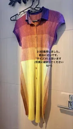 プリーツプリーズPHOTON半袖ロングワンピース　サイズ3 プリーツプリーズPHOTON半袖ロングワンピース サイズ3 - メルカリ