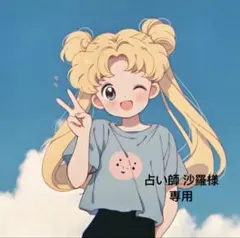 占い師 沙羅様 リクエスト 4点 まとめ商品