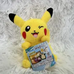 新品タグ付き ポケットモンスター つれてってぬいぐるみ 피카츄