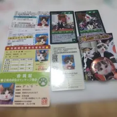 なめ猫 会員証&免許証&缶バッチなどセットのサムネイル