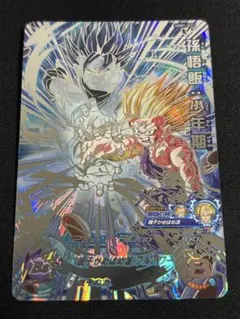 ドラゴンボールヒーローズ　ugm1-sec3 孫悟飯少年期