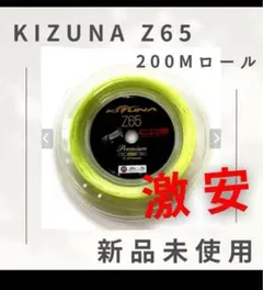 Item thumbnail for item 1c6afb40-405d-43b5-9f38-aee21d9f93d5