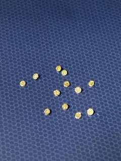 国産砂金 中粒小粒粉金 天然金 自然金 GOLD M30 - メルカリ