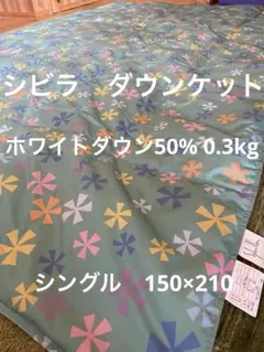 丸洗い可【シビラ】羽毛肌掛布団 ダウンケット（150×210）モリノビエント　Gのサムネイル