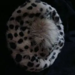 Item thumbnail for item 2a6868c0-c1a4-4b03-a08e-fa5c9acc0288