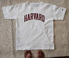 ChampionチャンピオンT1011 人気HARVARD Tシャツ Lサイズ