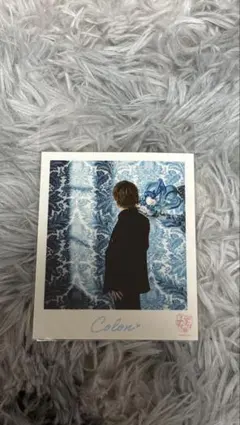 Colon フォトブロマイド