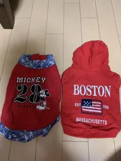 Item thumbnail for item ad6f35c7-02a7-4a08-a79f-fa47e75eece0