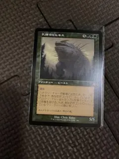 2025年最新】孔蹄のビヒモスの人気アイテム - メルカリ