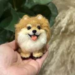 ポメラニアン　ちまっとあにまるず　羊毛フェルト　うちの子　ペット　オレンジのサムネイル